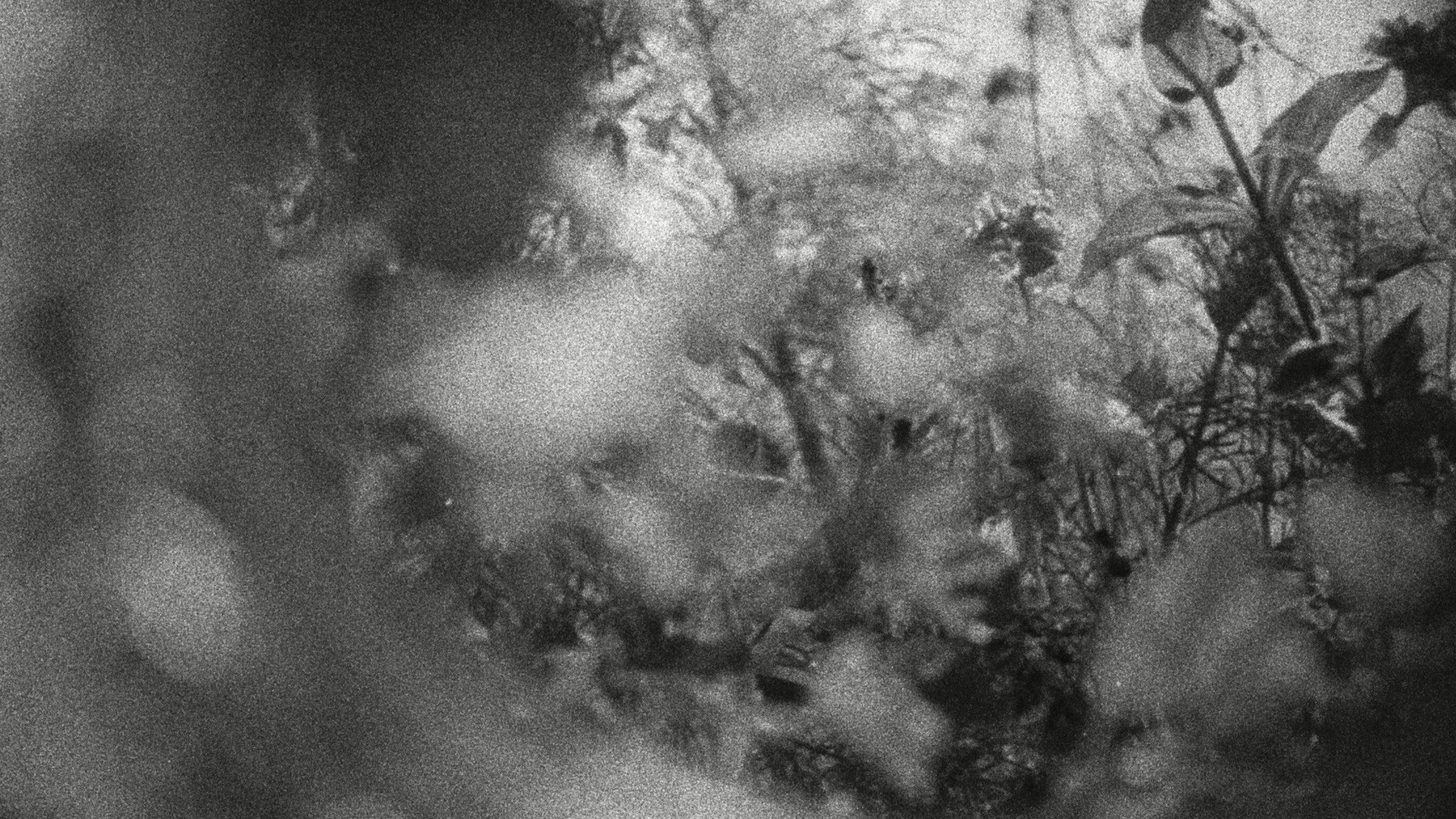 Vinko Visuals Screenshot 2